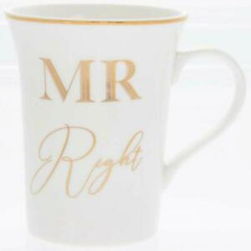Lesser And Pavey Mug Beaker Coffee Tea Cup Mr Right LP33911